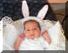 Bunny.jpg (88923 bytes)