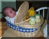 Gracie_in_basket.jpg (46196 bytes)