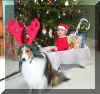 Christmas.JPG (44912 bytes)