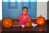 pumpkins2.jpg (26728 bytes)