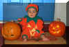 pumpkins_outside.jpg (26202 bytes)